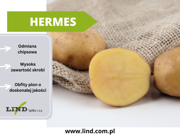 sadzeniaki ziemniaka hermes