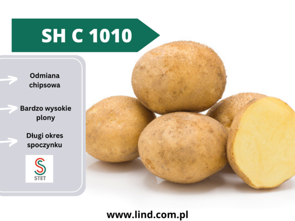 SH C 1010 sadzeniaki ziemniaka